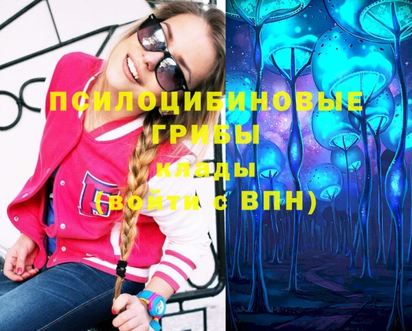 PSILOCYBIN Белокуриха