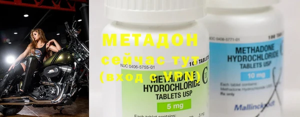 PSILOCYBIN Белокуриха
