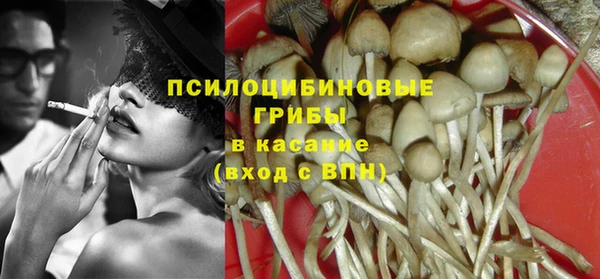 PSILOCYBIN Белокуриха