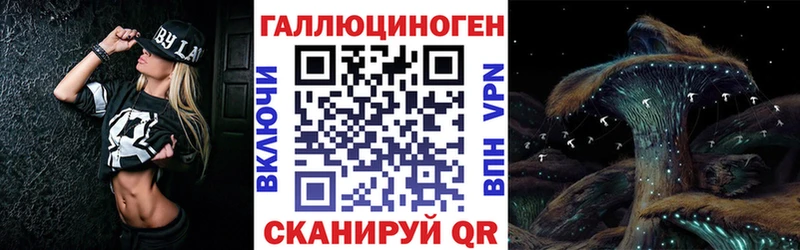 наркошоп  Кашин  Галлюциногенные грибы мухоморы 